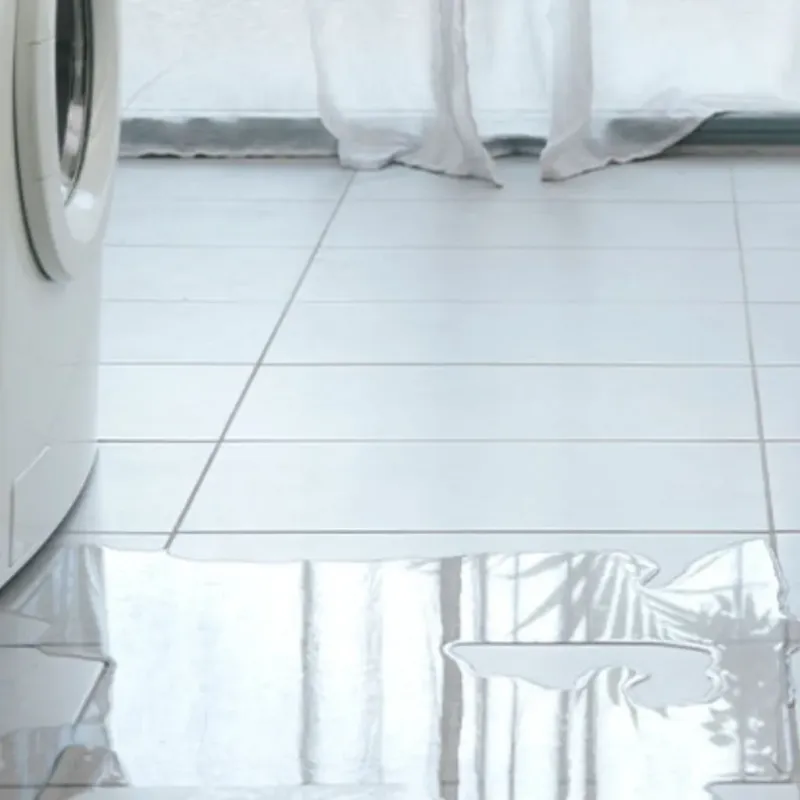 Appliance Leak Cleanup in Astoria, OR